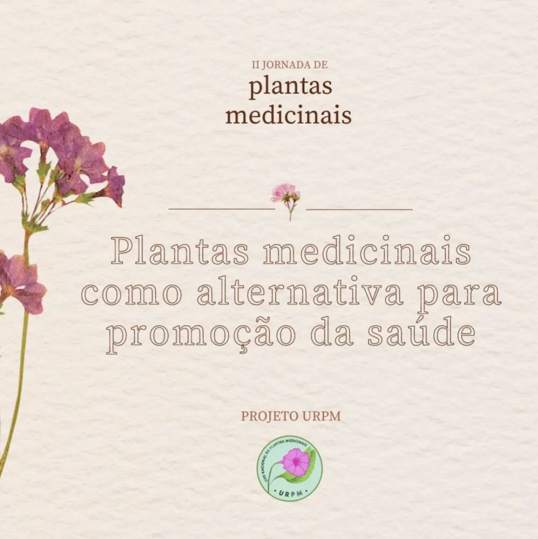 25112022-plantas-medicinais